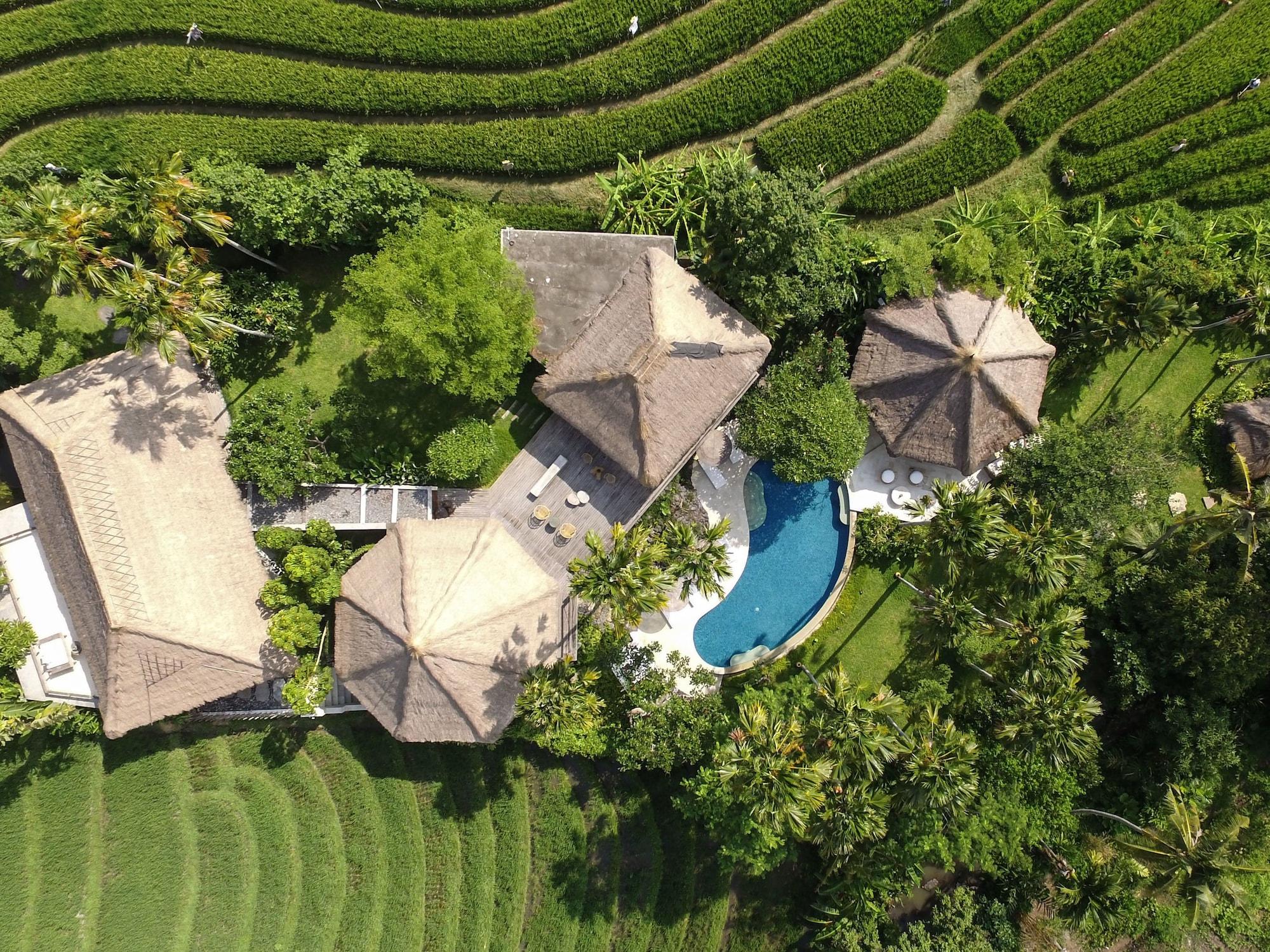 Planta Boutique Resort Canggu Buitenkant foto